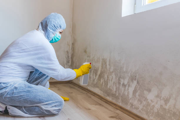 Licensed Commercial Mold Remediation service in Four Oaks, NC - 24 Hour Mold Removal