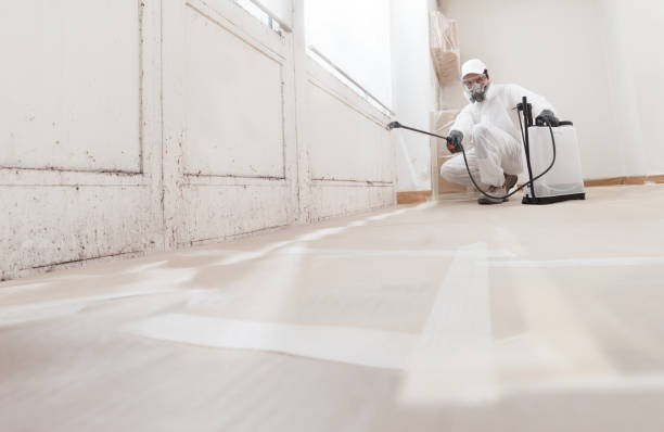 24/7 Emergency Commercial Mold Remediation experts in Four Oaks, NC