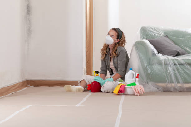 Reliable Commercial Mold Remediation contractor in Four Oaks, NC by 24 Hour Mold Removal