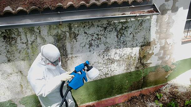 Top rated local Commercial Mold Remediation specialists in Four Oaks, NC